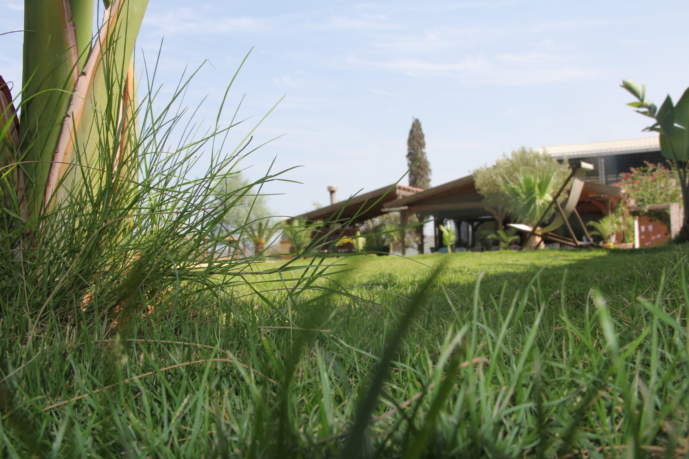 Le Chalet Essanya aperçu à travers les hautes herbes du jardin