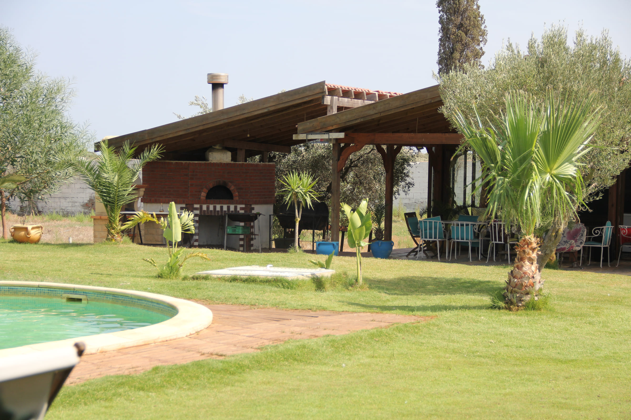 Charpente en bois couverte, palmiers et piscine du Chalet Essanya