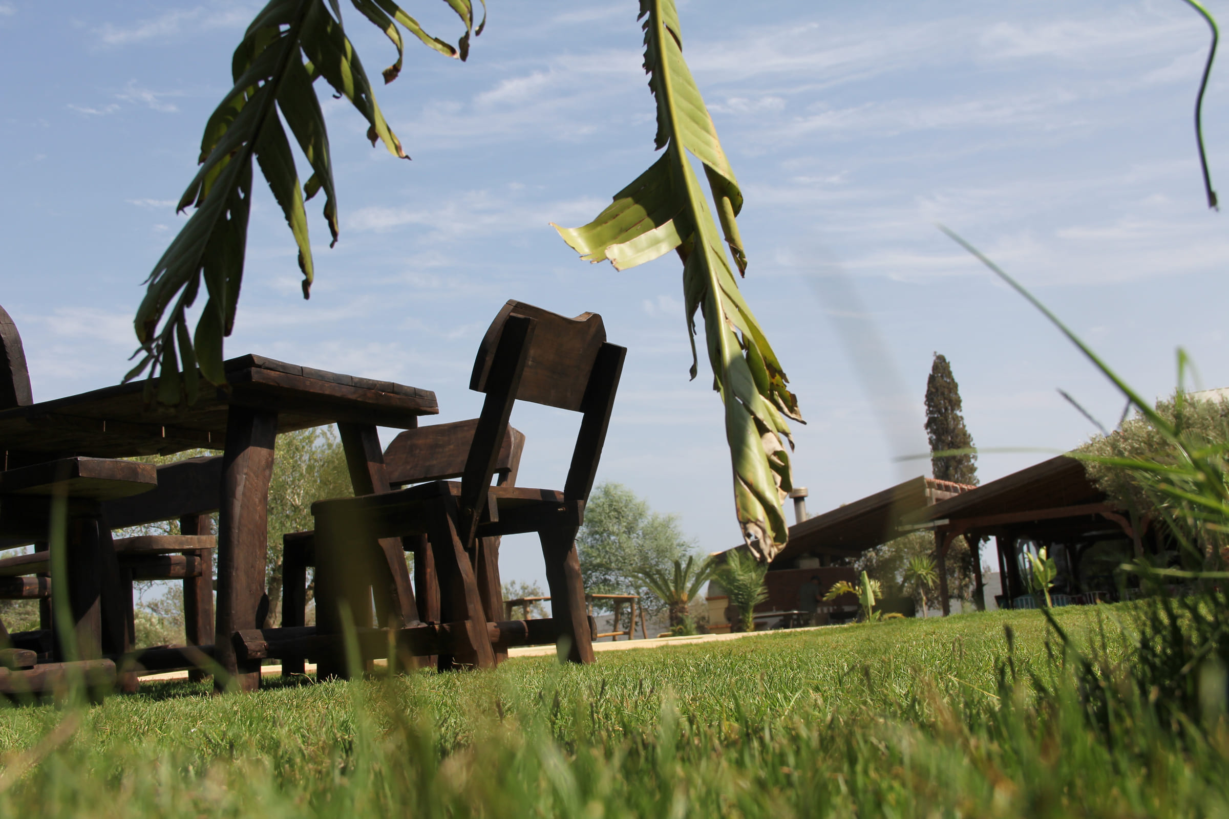 Table et chaises en bois massif installées sous les bananiers du jardin